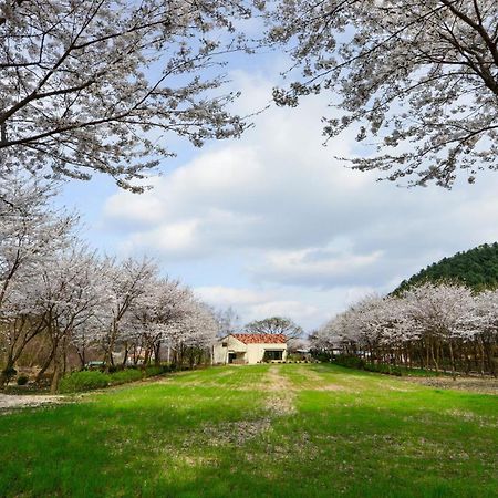 Hotel Sarongde Bangdong Chuncheon Esterno foto