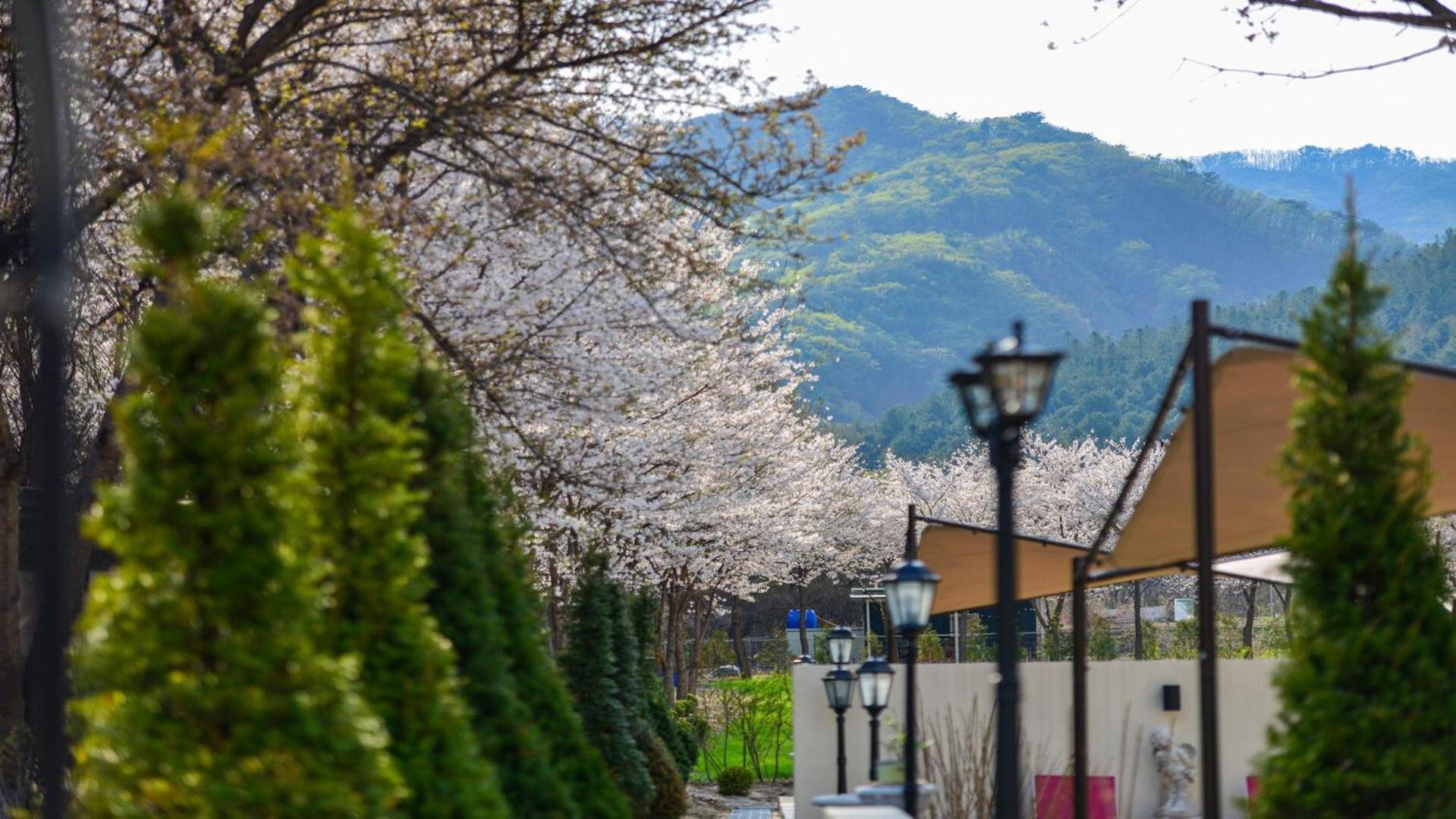 Hotel Sarongde Bangdong Chuncheon Esterno foto