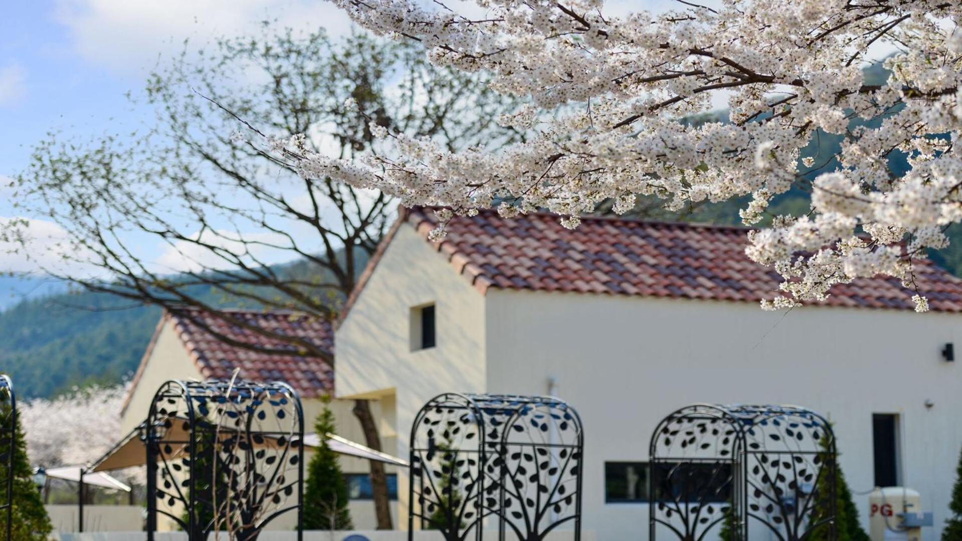 Hotel Sarongde Bangdong Chuncheon Esterno foto