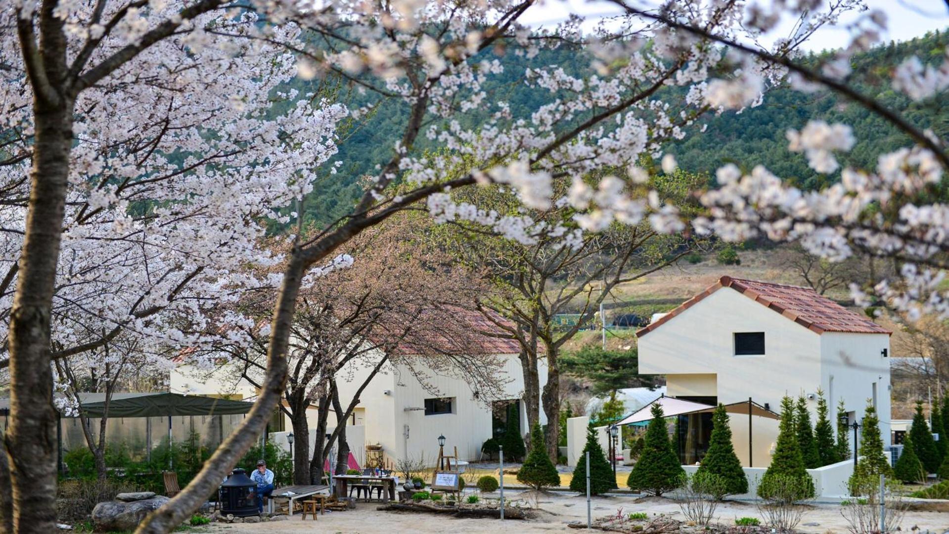 Hotel Sarongde Bangdong Chuncheon Esterno foto