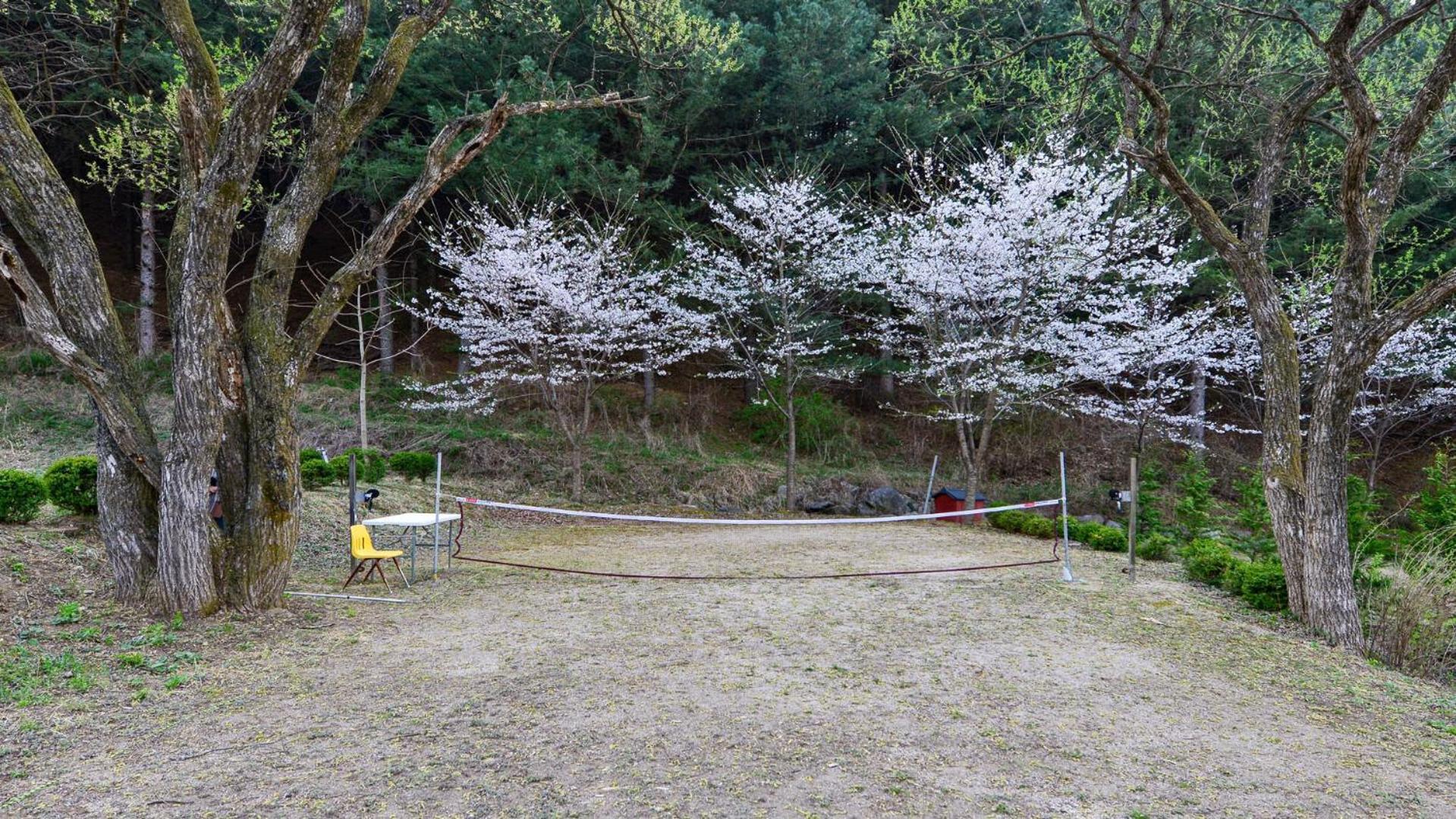 Hotel Sarongde Bangdong Chuncheon Esterno foto