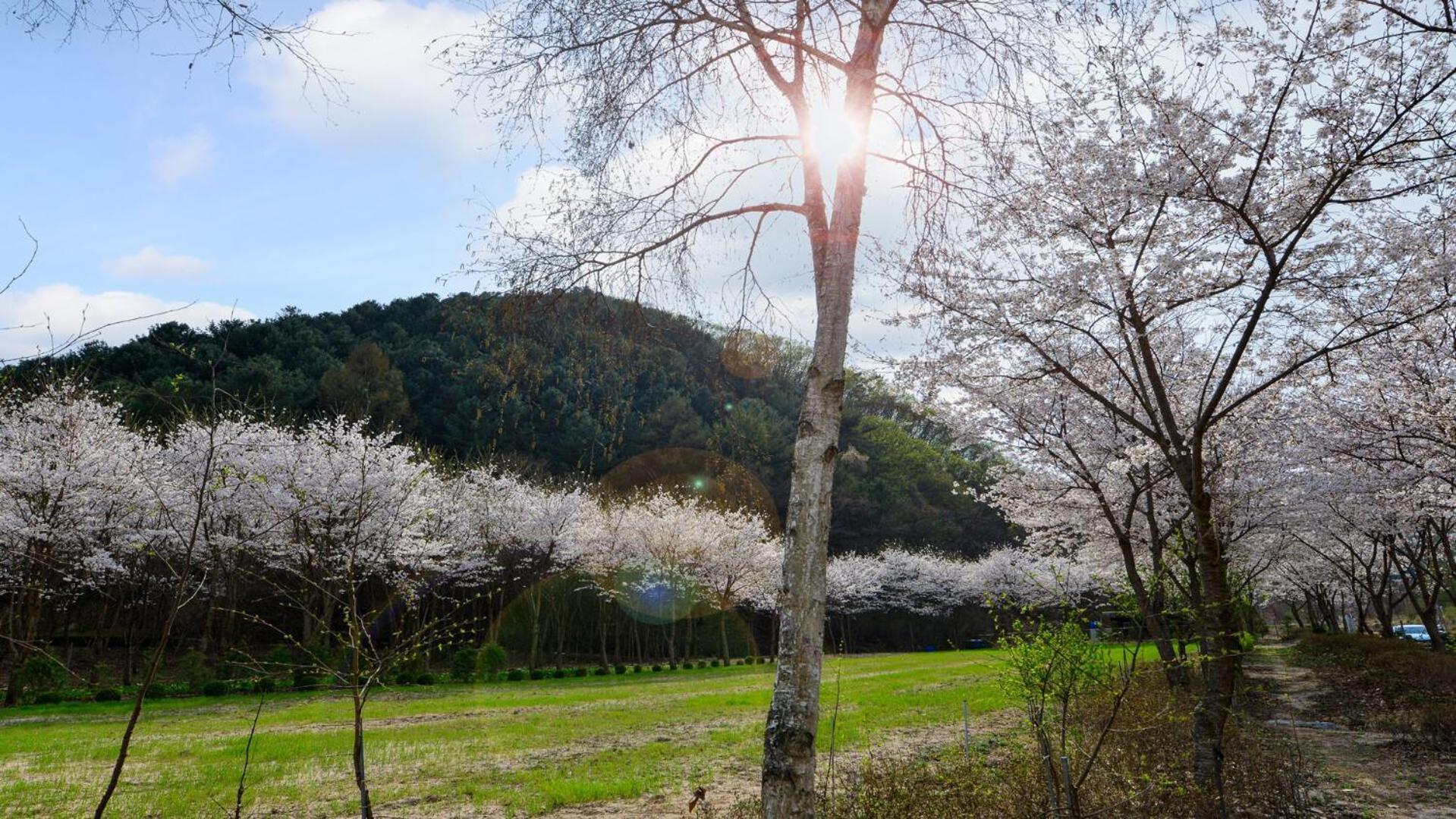 Hotel Sarongde Bangdong Chuncheon Esterno foto