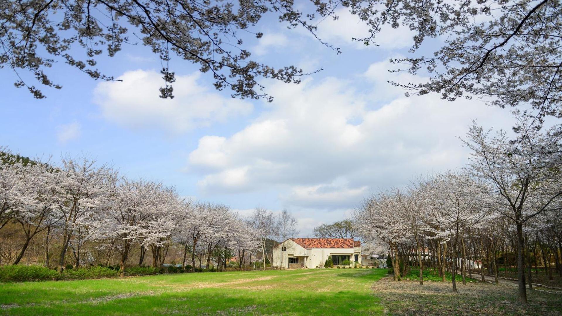 Hotel Sarongde Bangdong Chuncheon Esterno foto