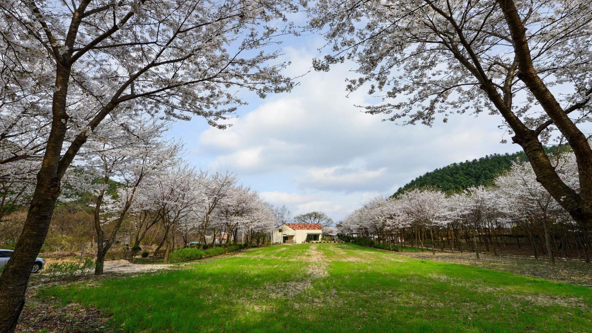 Hotel Sarongde Bangdong Chuncheon Esterno foto